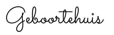 logo verloskundigenpraktijk bussum